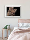 Komar Koala Bear Kunstdruk 70x50cm Sfeer | Yourdecoration.nl