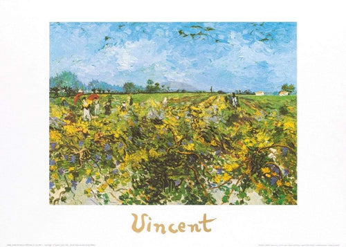 Vincent Van Gogh  The Green Vineyard Kunstdruk 70x50cm | Yourdecoration.nl