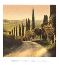 Elisabeth Carmel  Country Lane, Tuscany Kunstdruk 45x50cm | Yourdecoration.nl