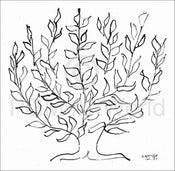 Henri Matisse  Le platane Kunstdruk 100x100cm | Yourdecoration.nl