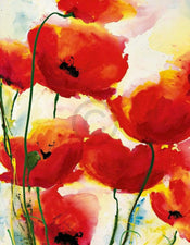 Heidi Reil  Roter Mohn Kunstdruk 70x90cm | Yourdecoration.nl