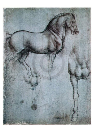 Leonardo Da Vinci  Studio di cavalli Kunstdruk 35x50cm | Yourdecoration.nl