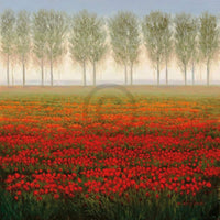 Park  Morning Mist Kunstdruk 68x68cm | Yourdecoration.nl