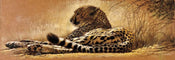 Renato Casaro  Little rest Kunstdruk 99x34cm | Yourdecoration.nl