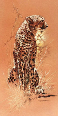 Renato Casaro  Cheetah Kunstdruk 50x100cm | Yourdecoration.nl