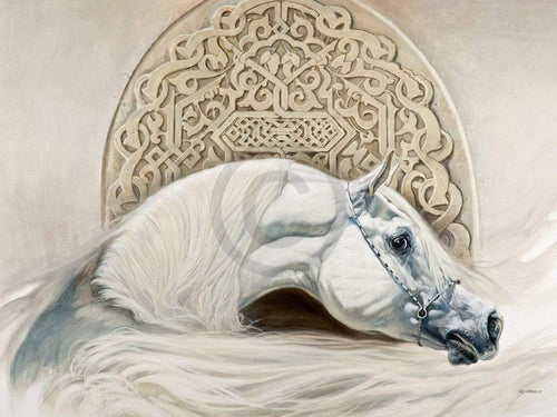 Renato Casaro  Arabian Pride Kunstdruk 80x60cm | Yourdecoration.nl