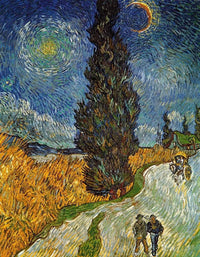 Vincent Van Gogh  Landstrasse mit Zypresse und Stern Kunstdruk 70x90cm | Yourdecoration.nl