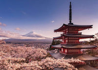 Pyramid Mount Fuji Blossom Poster 140x100cm | Yourdecoration.nl