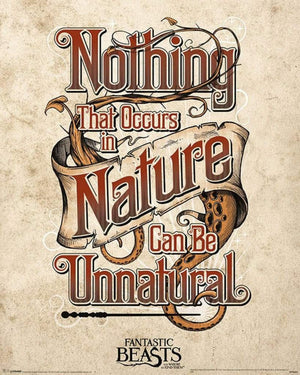 Pyramid Fantastic Beasts Unnatural Poster 40x50cm | Yourdecoration.nl