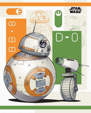 Pyramid Star Wars The Rise of Skywalker BB 8 and D 0 Poster 40x50cm | Yourdecoration.nl