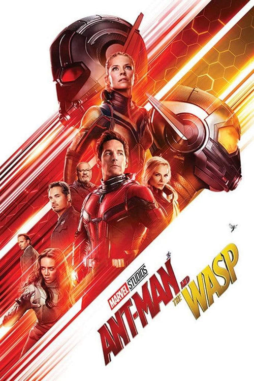 Pyramid Ant Man and the Wasp One Sheet Poster 61x91,5cm | Yourdecoration.nl