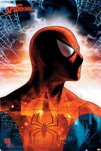 Pyramid Spider Man Protector of the City Poster 61x91,5cm | Yourdecoration.nl