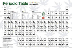 Pyramid Periodic Table Cannabis Poster 61x91,5cm | Yourdecoration.nl
