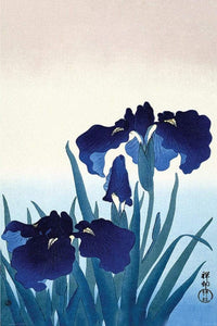Pyramid Ohara Koson Iris Flowers Poster 61x91,5cm | Yourdecoration.nl