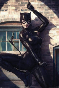 Pyramid Catwoman Spot Light Poster 61x91,5cm | Yourdecoration.nl
