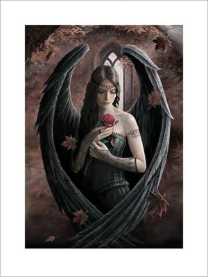 Pyramid Anne Stokes Angel Rose Kunstdruk 60x80cm | Yourdecoration.nl