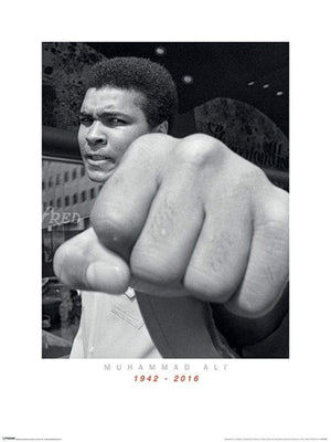 Pyramid Muhammad Ali Commemorative Punch Kunstdruk 60x80cm | Yourdecoration.nl