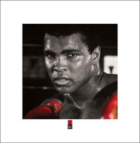 Pyramid Muhammad Ali Boxing Gloves Kunstdruk 40x40cm | Yourdecoration.nl