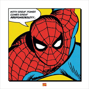 Pyramid Spider Man With Great Power Kunstdruk 40x40cm | Yourdecoration.nl