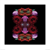 Pyramid Alyson Fennell Paradise of Petals Kunstdruk 60x60cm | Yourdecoration.nl