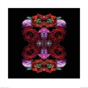 Pyramid Alyson Fennell Paradise of Petals Kunstdruk 60x60cm | Yourdecoration.nl