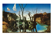 Salvador Dali  Reflections of Elephants Kunstdruk 80x60cm | Yourdecoration.nl