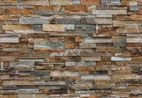 Wizard+Genius Colorful Stone Wall Fotobehang 366x254cm | Yourdecoration.nl