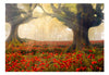 Fotobehang - Morning Among Poppies - Vliesbehang