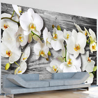 Fotobehang - Callous Orchids Iii - Vliesbehang
