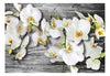 Fotobehang - Callous Orchids Iii - Vliesbehang