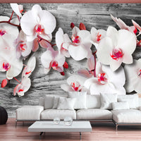 Fotobehang - Callous Orchids - Vliesbehang