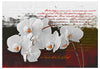 Fotobehang - Diary and Orchid - Vliesbehang