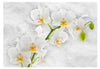 Fotobehang - Lyrical Orchid White - Vliesbehang