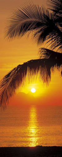 Komar Palmy Beach Sunrise Fotobehang 92x220cm | Yourdecoration.nl
