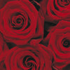 Komar Roses Fotobehang 194x270cm | Yourdecoration.nl