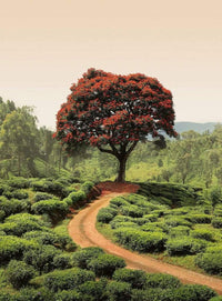 Wizard+Genius Red Tree And Hills In Sri Lanka Vlies Fotobehang 192x260cm 4 banen | Yourdecoration.nl