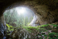Wizard+Genius Cave In The Forest Vlies Fotobehang 384x260cm 8 banen | Yourdecoration.nl