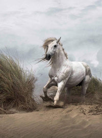 Wizard+Genius White Wild Horse Vlies Fotobehang 192x260cm 4 banen | Yourdecoration.nl