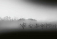 Wizard+Genius Foggy Landscape Vlies Fotobehang 384x260cm 8 banen | Yourdecoration.nl