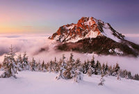 Wizard+Genius Snowy Mountain Peak Vlies Fotobehang 384x260cm 8 banen | Yourdecoration.nl