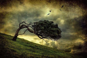 Wizard+Genius Scary Vintage Tree Vlies Fotobehang 384x260cm 8 banen | Yourdecoration.nl