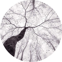 Wizard+Genius Inside the Trees Vlies Fotobehang 140x140cm rond | Yourdecoration.nl