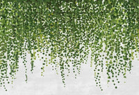 Wizard+Genius Hanging Plants Vlies Fotobehang 384x260cm 8 banen | Yourdecoration.nl