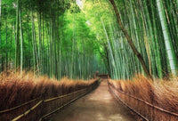Wizard+Genius Bamboo Grove Kyoto Vlies Fotobehang 384x260cm 8 banen | Yourdecoration.nl