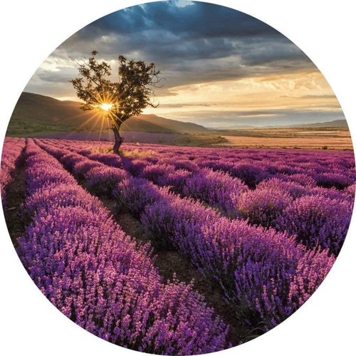 Wizard+Genius Lavender in the Provence Vlies Fotobehang 140x140cm rond | Yourdecoration.nl
