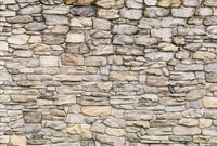 Wizard+Genius Stone Wall II Vlies Fotobehang 384x260cm 8 banen | Yourdecoration.nl