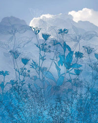 Komar Blue Sky Vlies Fotobehang 200x250cm 2 banen | Yourdecoration.nl