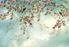 Komar Sakura Fotobehang 368x254cm | Yourdecoration.nl
