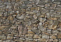 Komar Stone Wall Fotobehang 368x254cm | Yourdecoration.nl