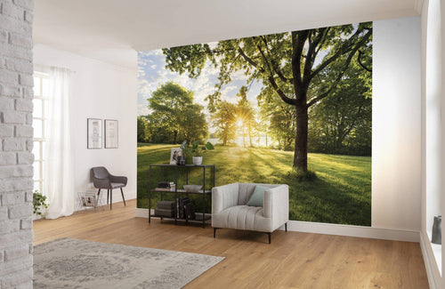 Komar Vlies Fotobehang 8 743 Golden Moment Interieur | Yourdecoration.nl